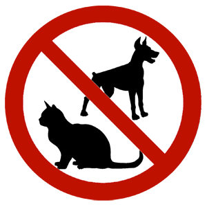 Domácí zvířata nejsou dovolena